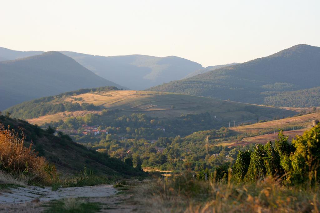 Cziroka Vendeghaz